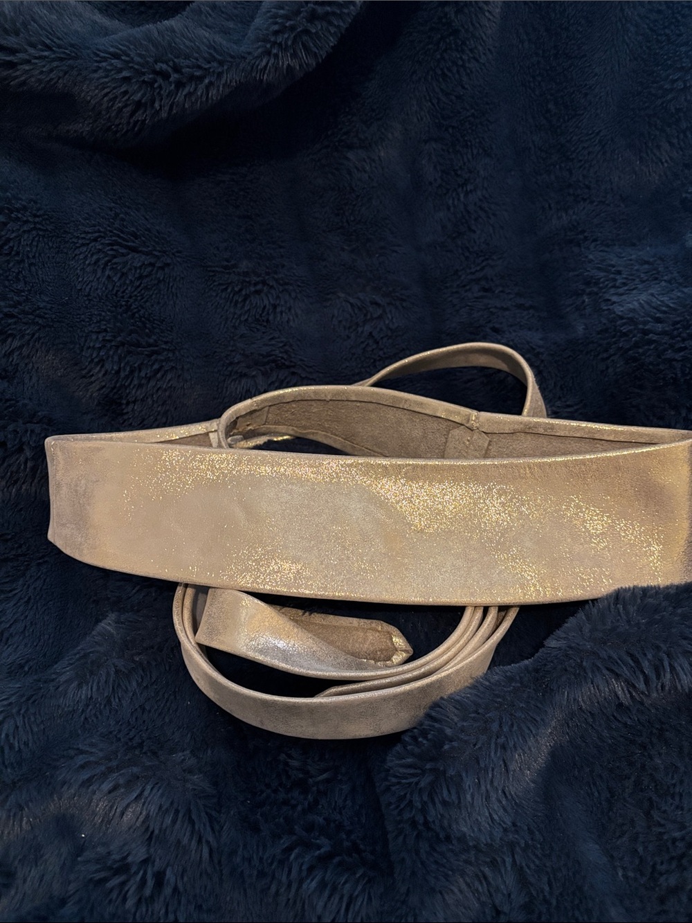 Ada Women's Wide Glitter Belt in Light Gold